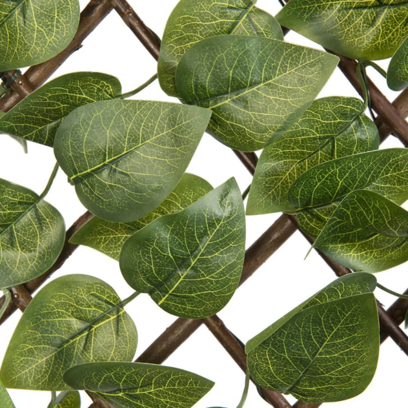 Produktbild för Nature Trädgårdsspaljé med lagerblad 90x180 cm grön