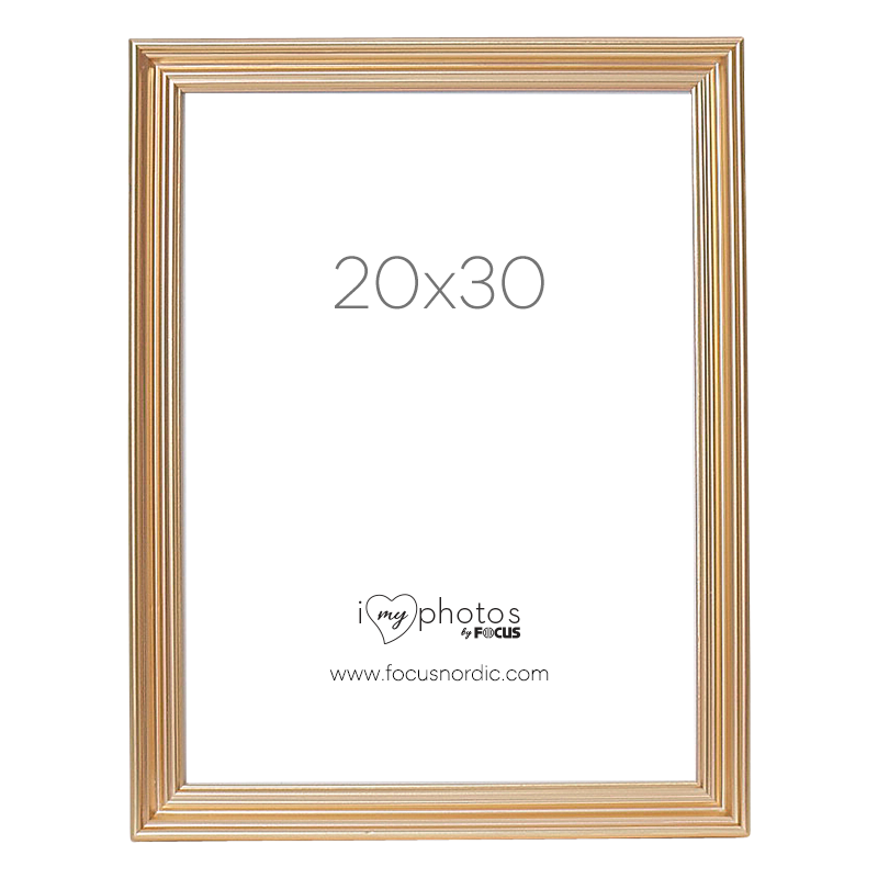 Produktbild för Focus Verona Gold 20x30