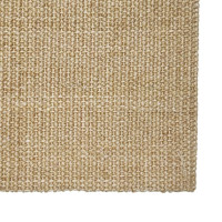 Produktbild för Matta naturlig sisal 66x100 cm