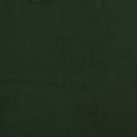 Produktbild för Bäddsoffa 2-sits med två kuddar mörkgrön sammet