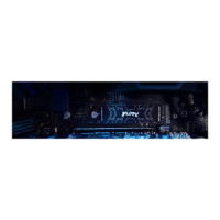 Produktbild för Kingston FURY Renegade - SSD - 2 TB - PCIe 4.0 x4 (NVMe)